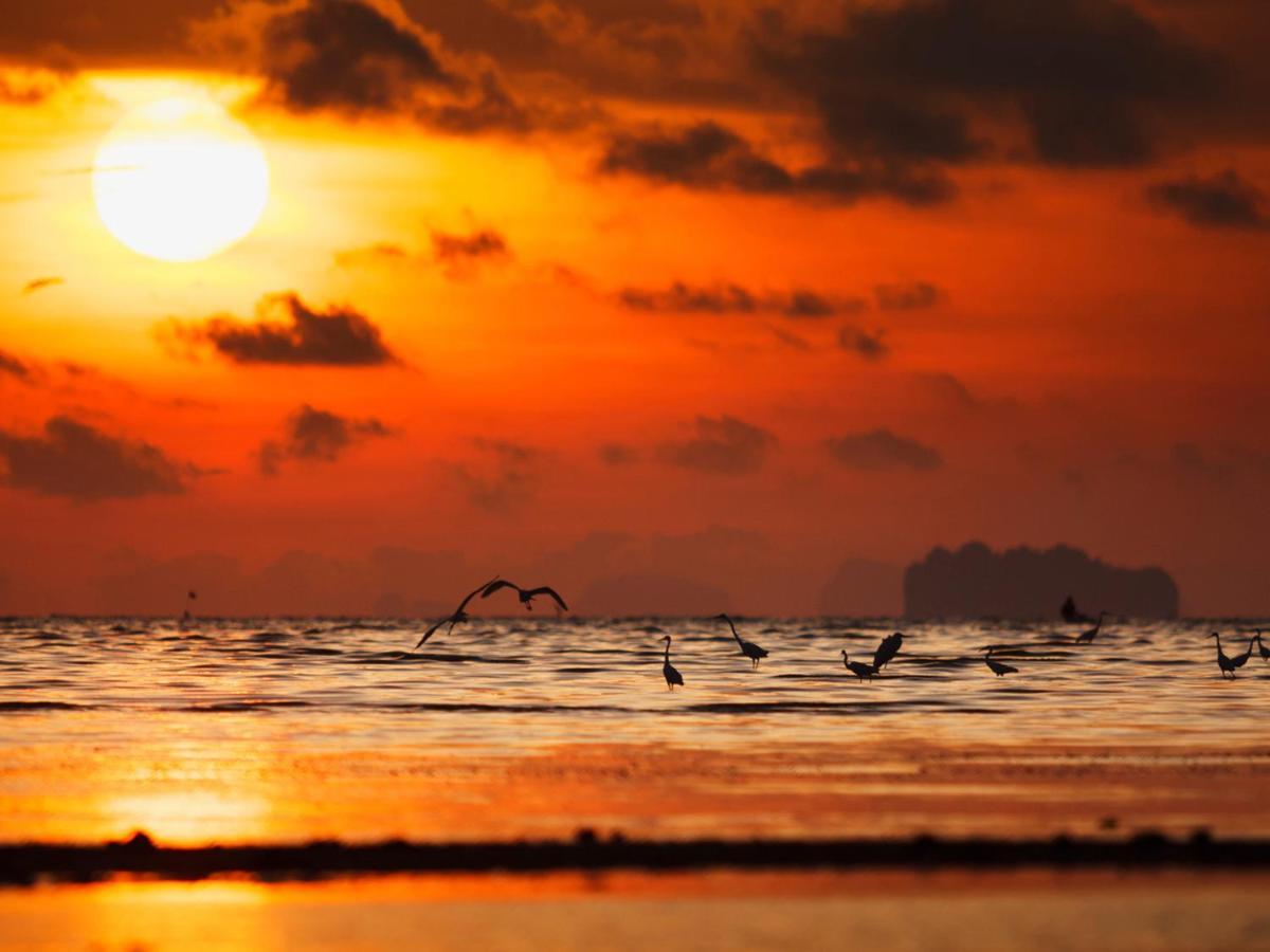 Ibis Styles Phuket